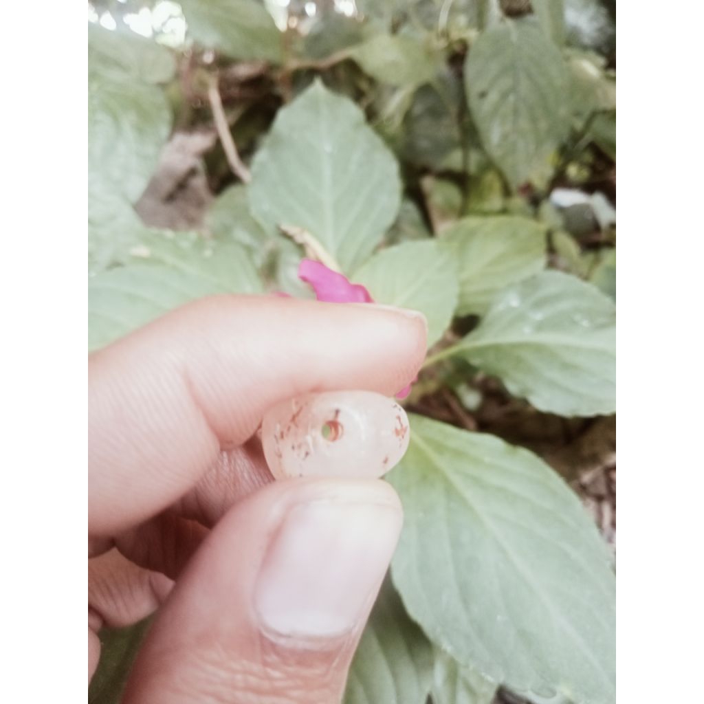 BATU AKIK PERMATA COMBONG ALAMI GEMSTONE OF COMBONG HASIL TEMUAN ALAM 1000%