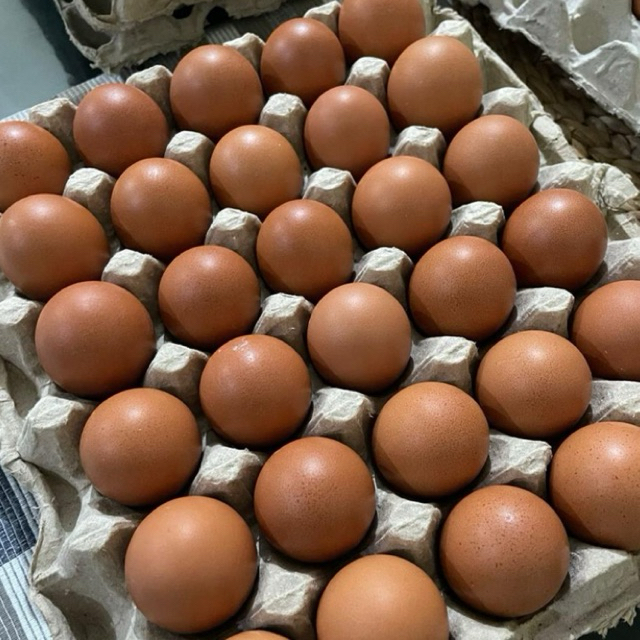 

TELUR OMEGA 3,6,9 isi 30 BUTIR - TRAY