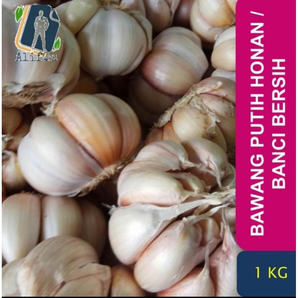 

Bawang Putih Banci/ Honan Segar 1000 gram