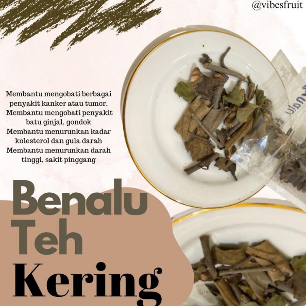 

benalu teh asli 500g buat herbal pengeringan sinar matahari langsung