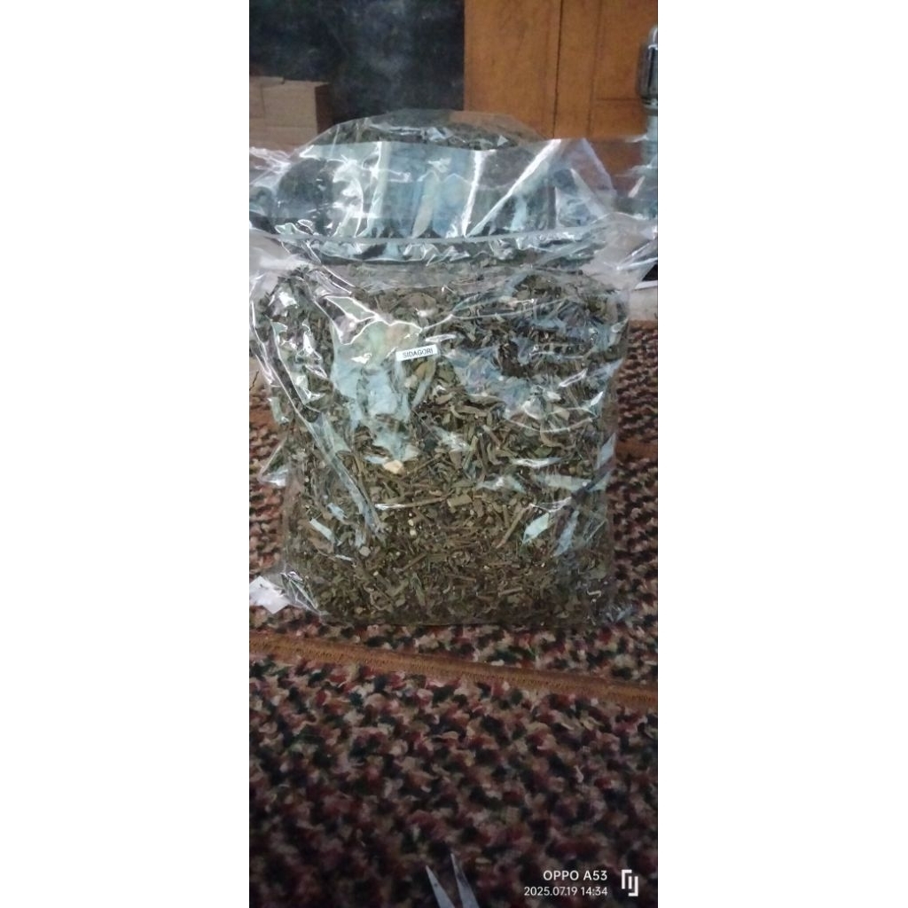 

sidaguri/seleguri/otok otok kering obat herbal original