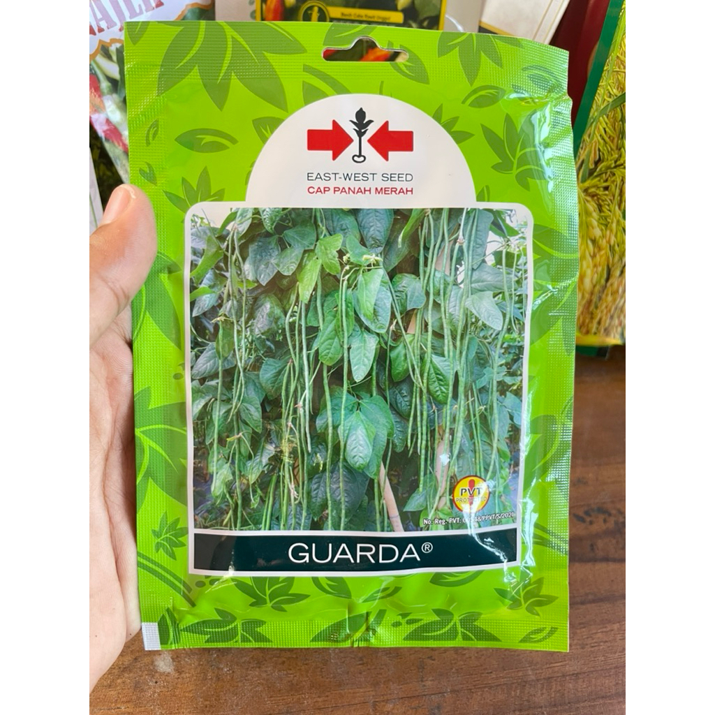 Benih Kacang Panjang Guarda Cap Panah Merah