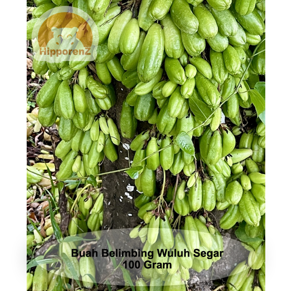 

Buah Belimbing Wuluh Segar 100 Gram Siap Di Kirim