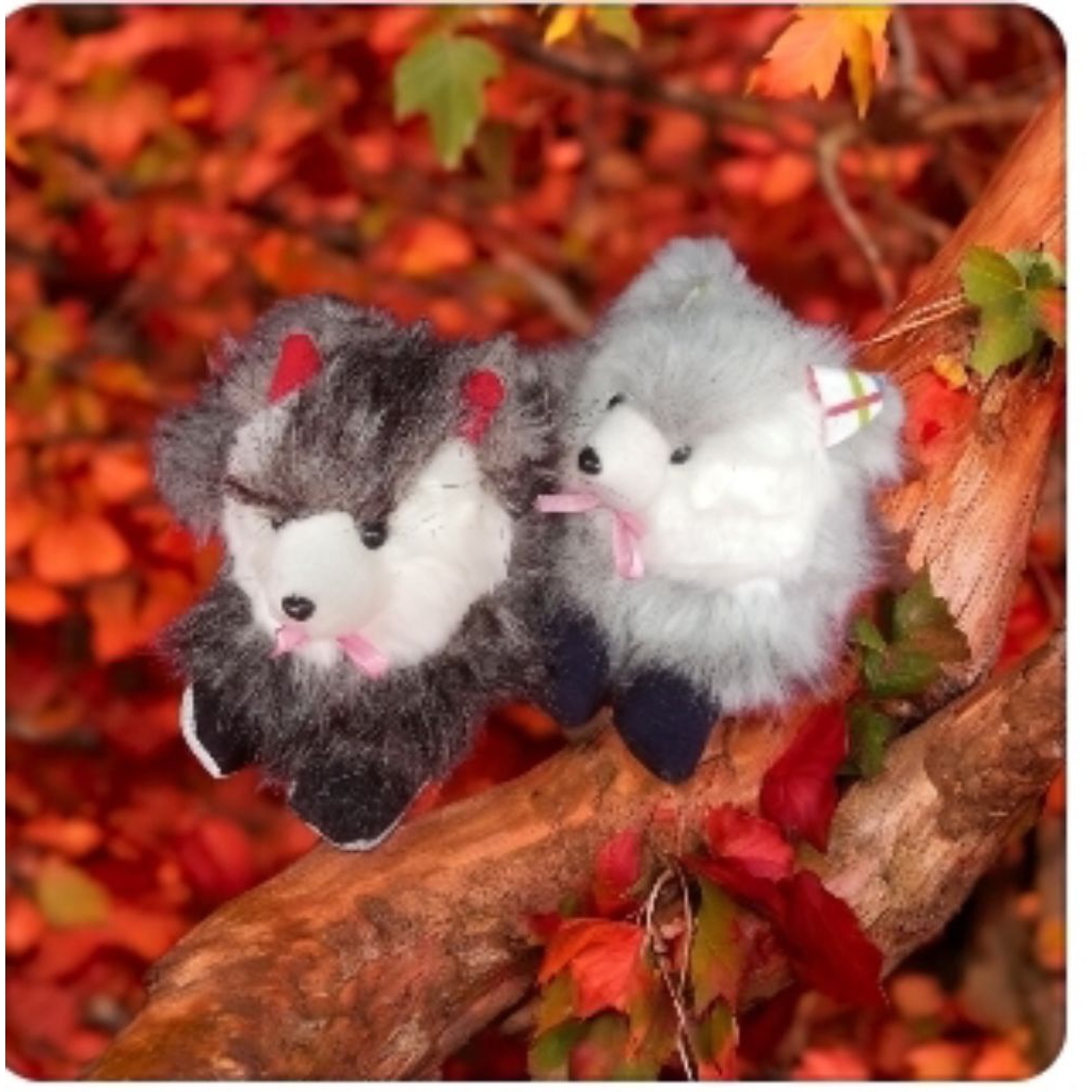 Boneka Kucing Anggora Mainan Hiasan Anak