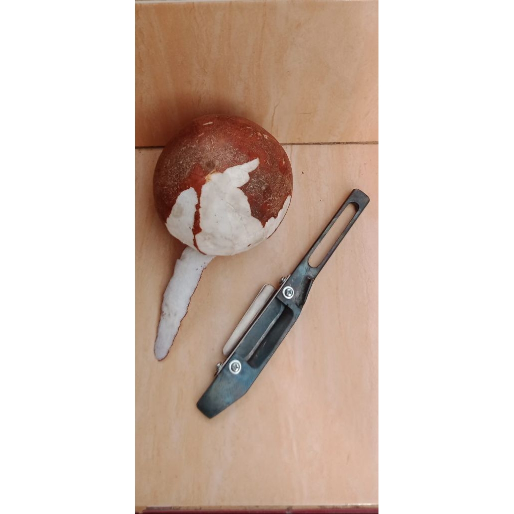 Alat kupas kulit Ari kelapa.