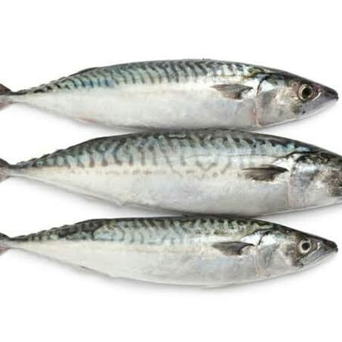 

Ikan kembung banjar 500 gram