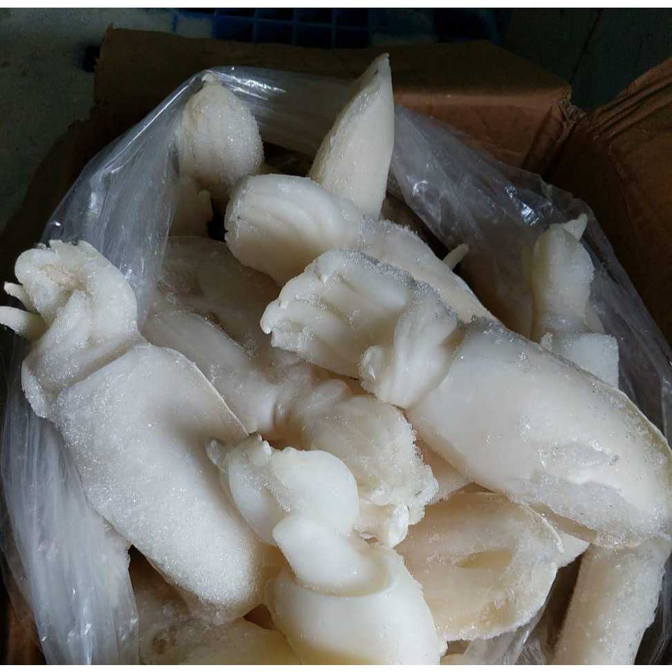 

Cumi Bekutak kupas kemasan 1kg