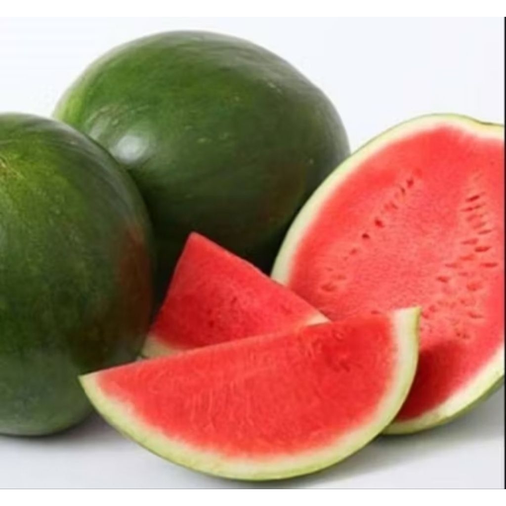 

biji semangka merah non biji super isi 10 biji