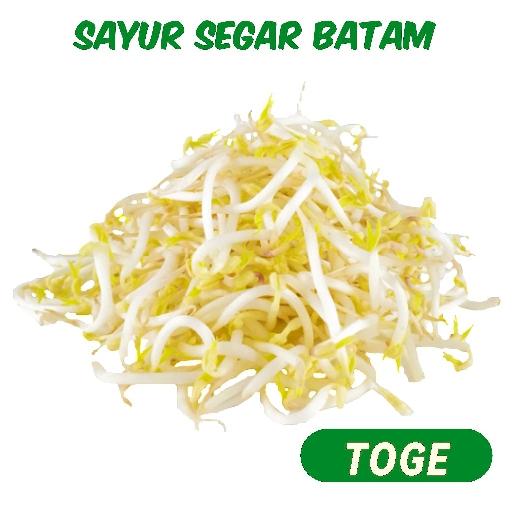

Tauge / Toge Segar Batam - Sayur Segar Batam