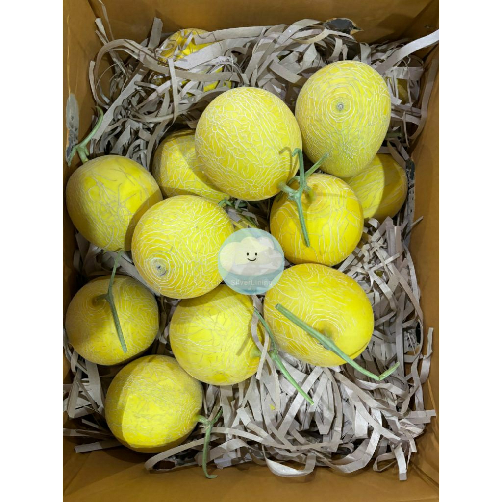 

MELON INTHANON / GLADIAL HONEYDEW / GOLDEN EMERALD PER BUAH