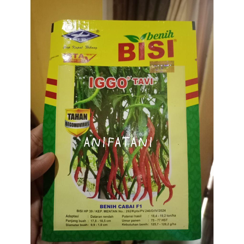 cabe keriting IGGO TAVI