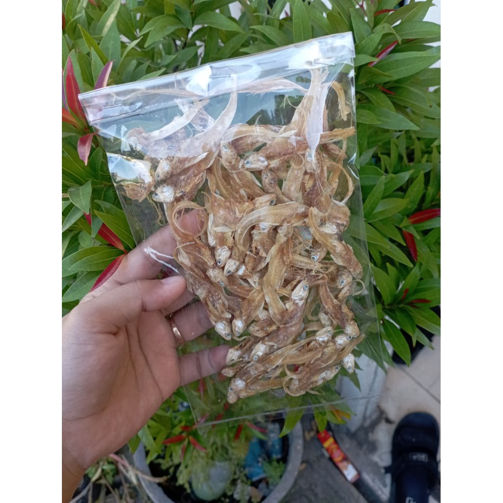 

ANEKA VARIAN IKAN ASIN/KEPALABATU/GRAGO/LAYUR/TERI/TENGGIRI