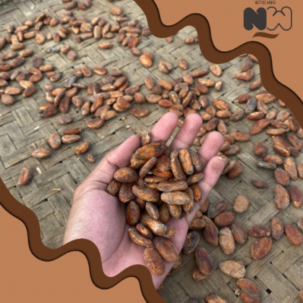 

Biji Kakao / Coklat (Cocoa Beans) Kering Super, 100 - 500 gram