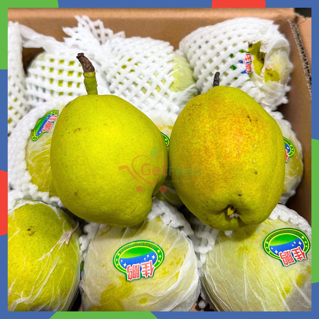 

Pear Xiang Lie RRC Impor Fresh Pack 900gr-1kg