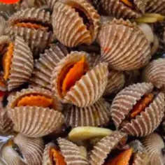 kerang dara 1 kg