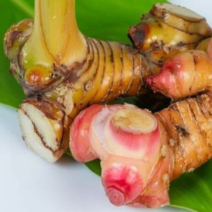 

[Ready Stock] Lengkuas segar, laja lengkuas lokal organik, lengkuas segar bersih 1 kg, lengkuas laos bumbu masak