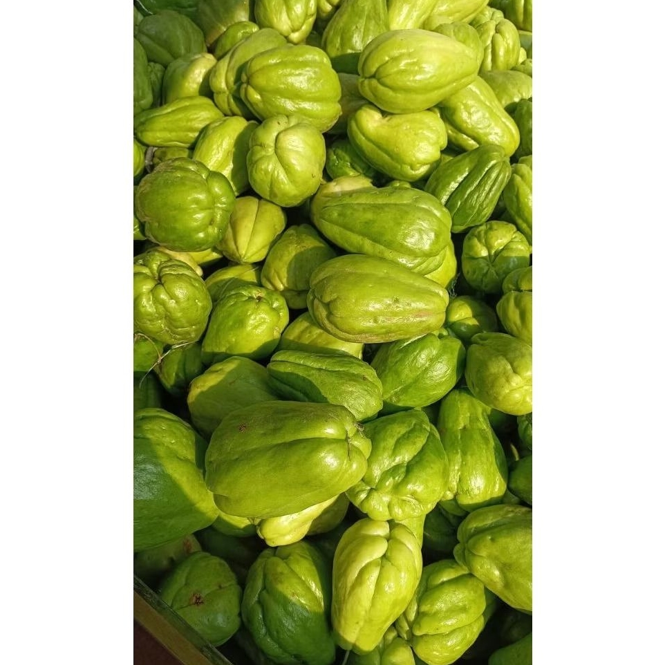 

Labu Siam Sayur Fresh 500 Gram / labu siam untuk sayur 500 Gram