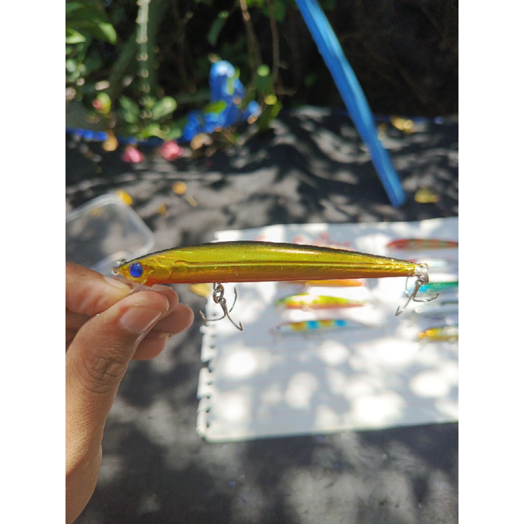Minnow Floating 9,5cm/8gram