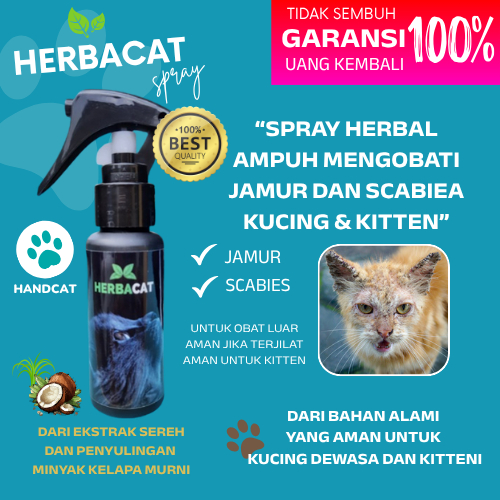 Spray Obat Jamur Kucing Terbukti Ampuh Mengatasi Scabies Ringworm / Obat Jamur Kucing HERBACAT Spray
