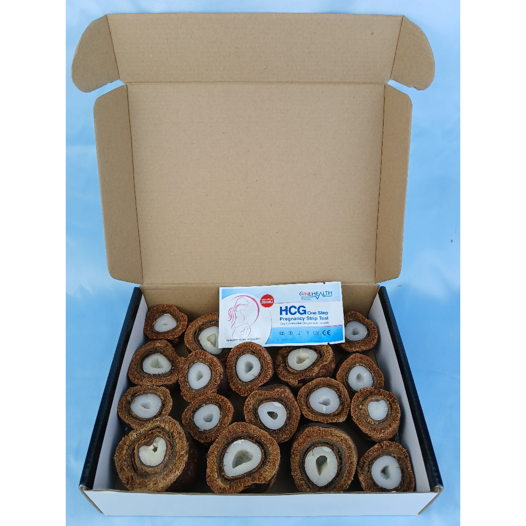 

ZURIAT, Free Tespeck, BUAH ZURIAT UNTUK PROMIL