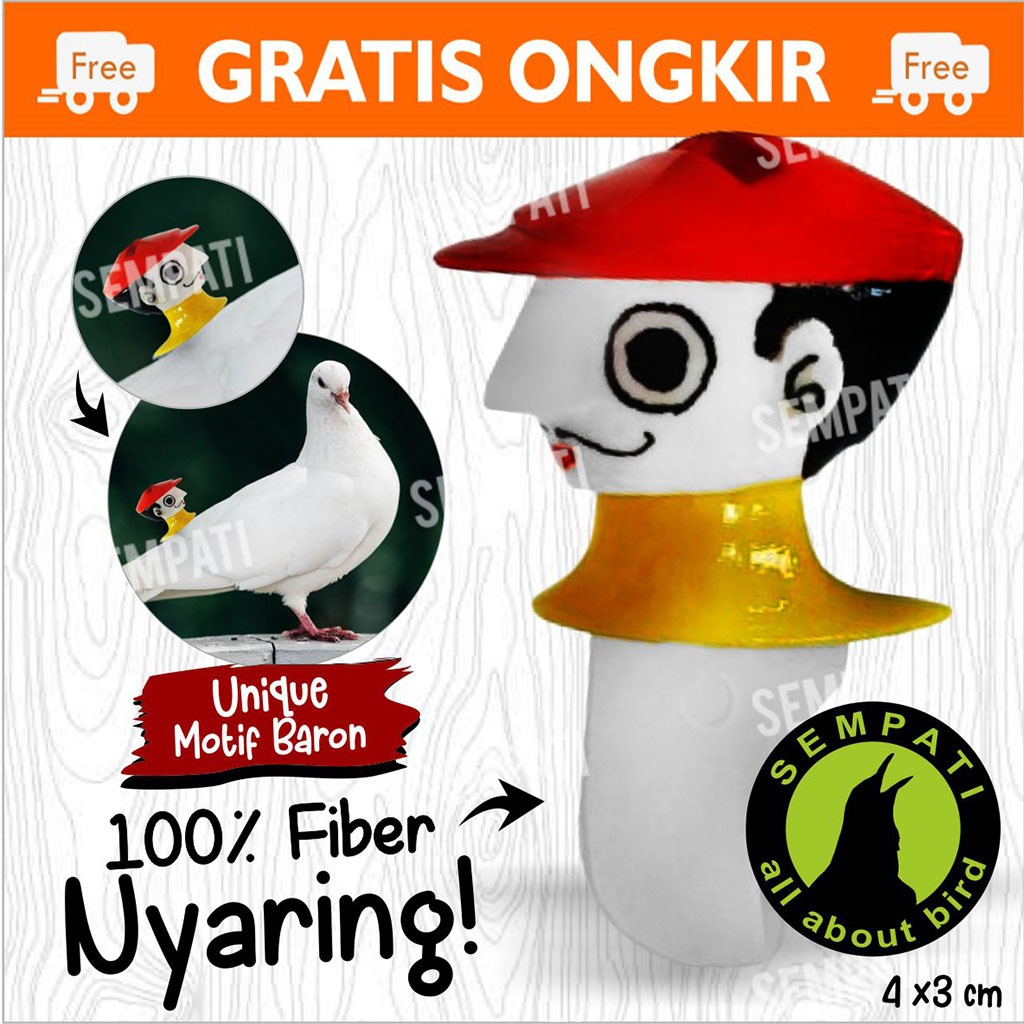 SEMPATI SAWANGAN BARON BURUNG MERPATI HATONG HOTANG SEMPRITAN MERPATI BALAP SAWANGAN MODEL BARON KAY