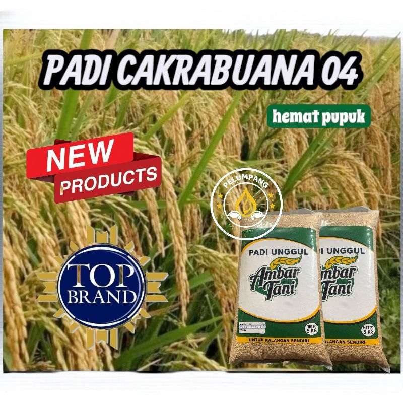 benih padi unggul cakrabuana 04 kemasan 5kg