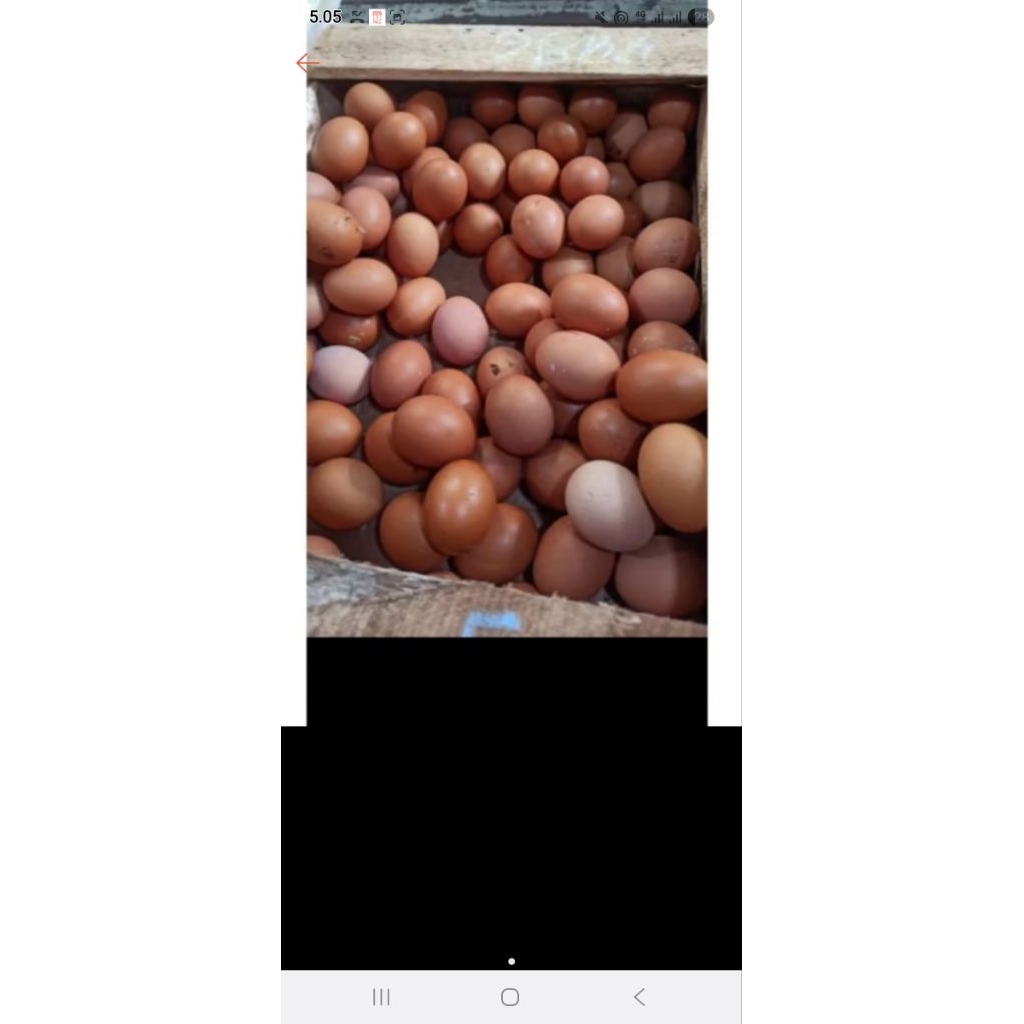 

telur ayam negeri [khusus instant MALANG]