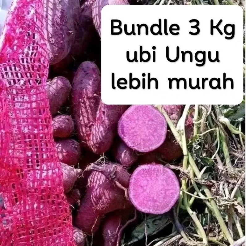 

Grosir 3 Kg Ubi Madu Ungu Fresh baru panen bergaransi