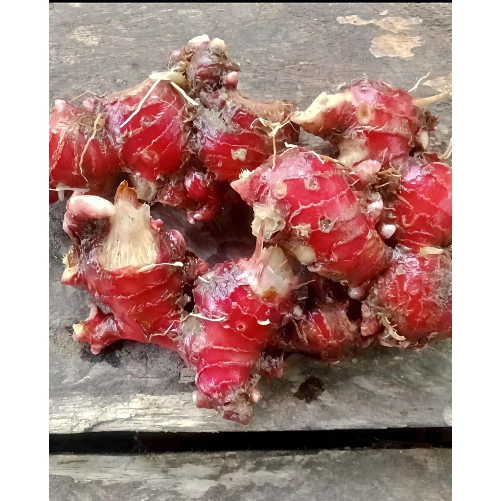 

promo jahe merah Fress segar 1kg