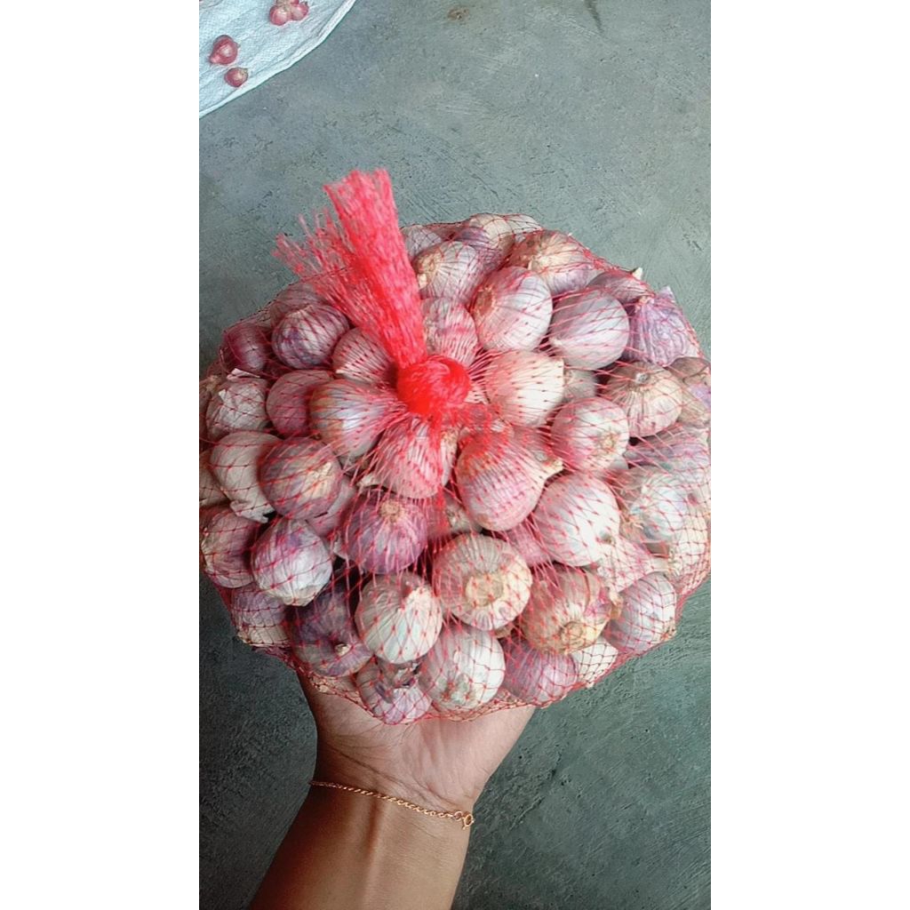 bawang tunggal 1kg