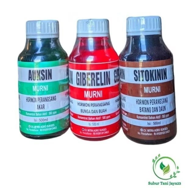 HORMON ZPT AUKSIN GIBERLIN SITOKININ KUALITAS SUPER 500ML