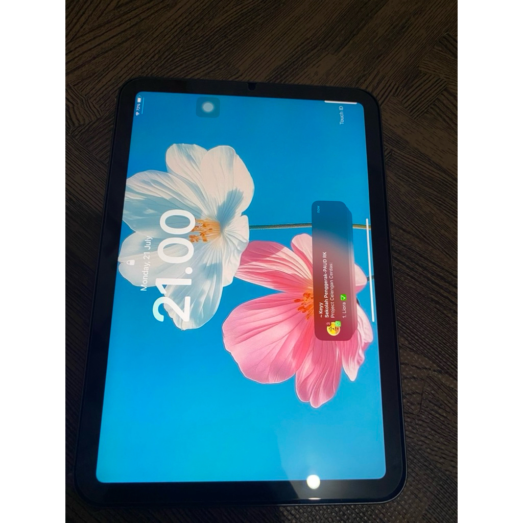 Ipad Mini (64 GB, Wi-FI) Second (MULUS)