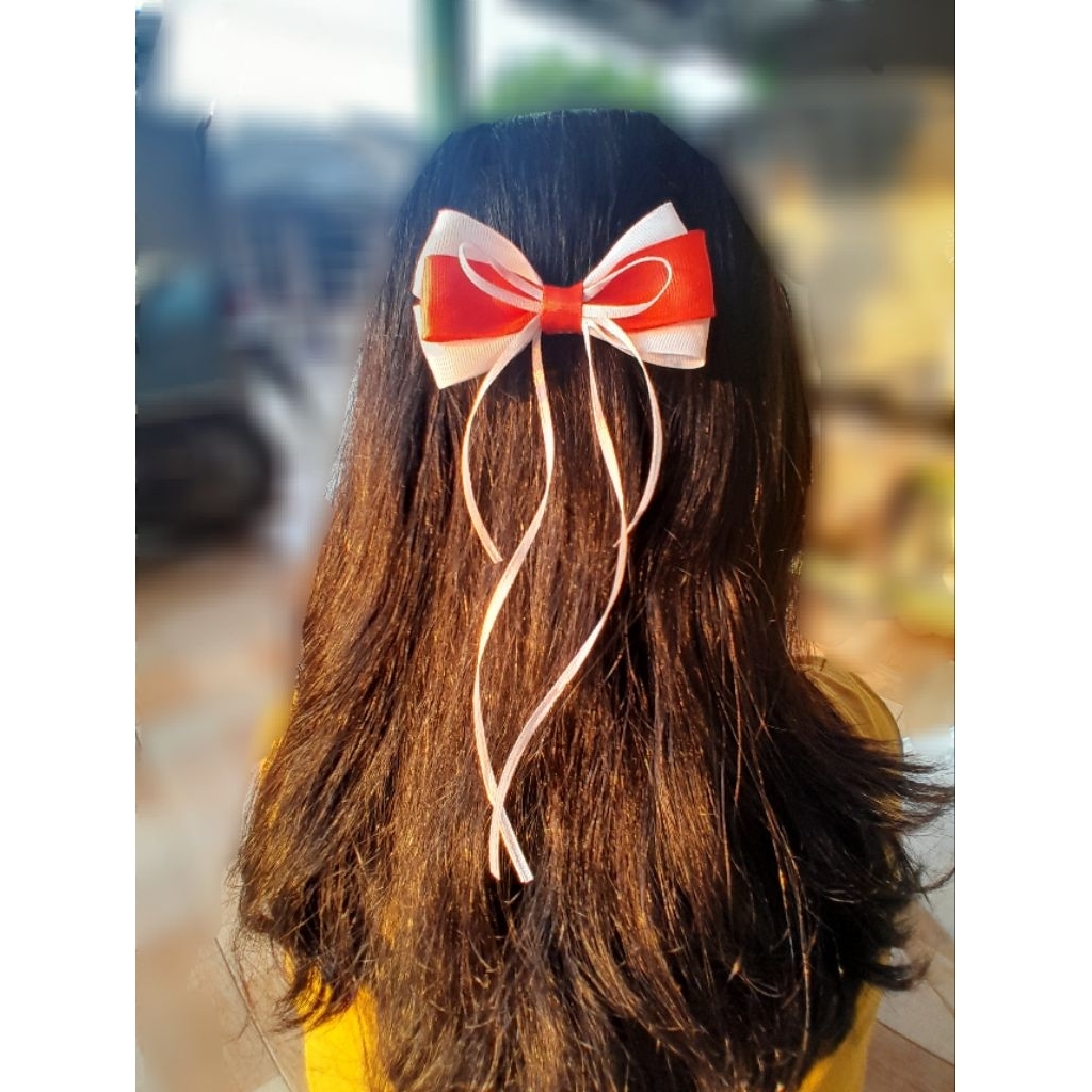 

jepitan rambut merah putih