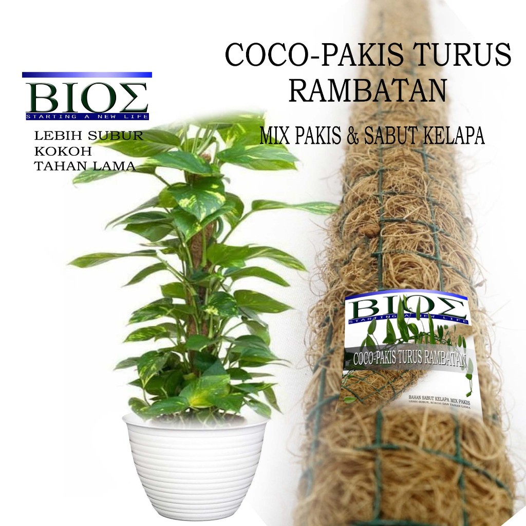 Turus Rambatan COCO-PAKIS Mix Pakis & Sabut Kelapa ukuran 45cm dan 90cm tiang rambat tanaman D467