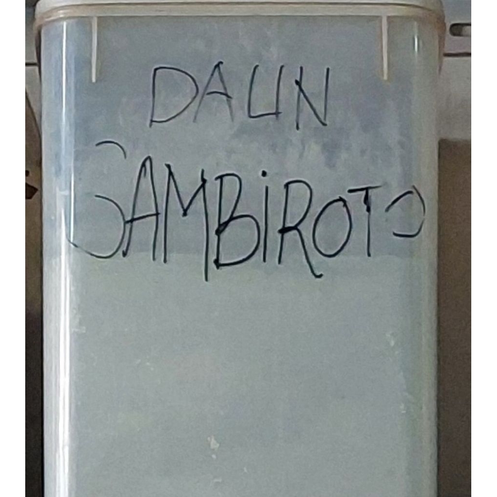 

100gr Daun Sambiroto Bubuk