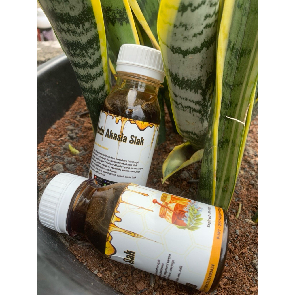 

Kemasan 100gram Madu Murni Akasia Siak Lebah Apis Mellifera / Full Nectar