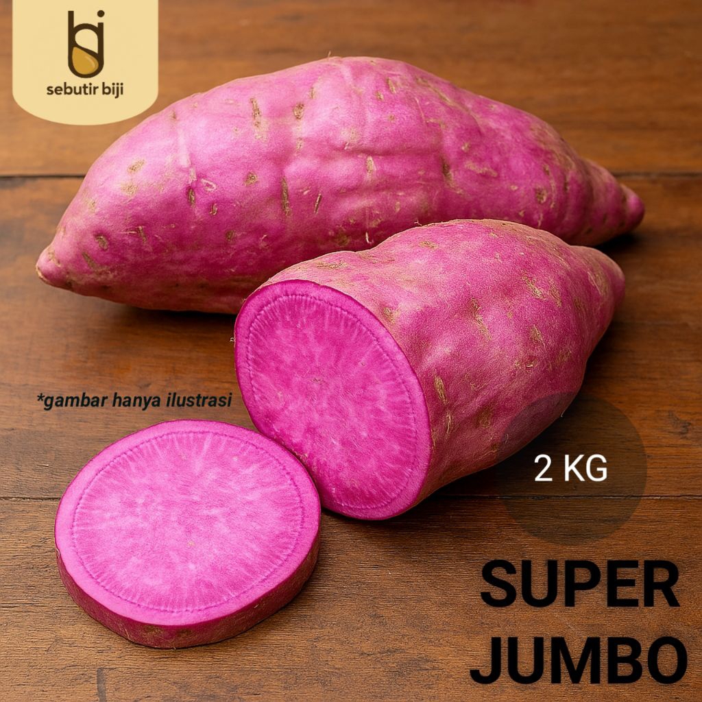 

Ubi Ungu Ayamurasaki SBJ2 Super Jumbo 2 Kg – Isi 4-6 Buah | Manis & Lembut