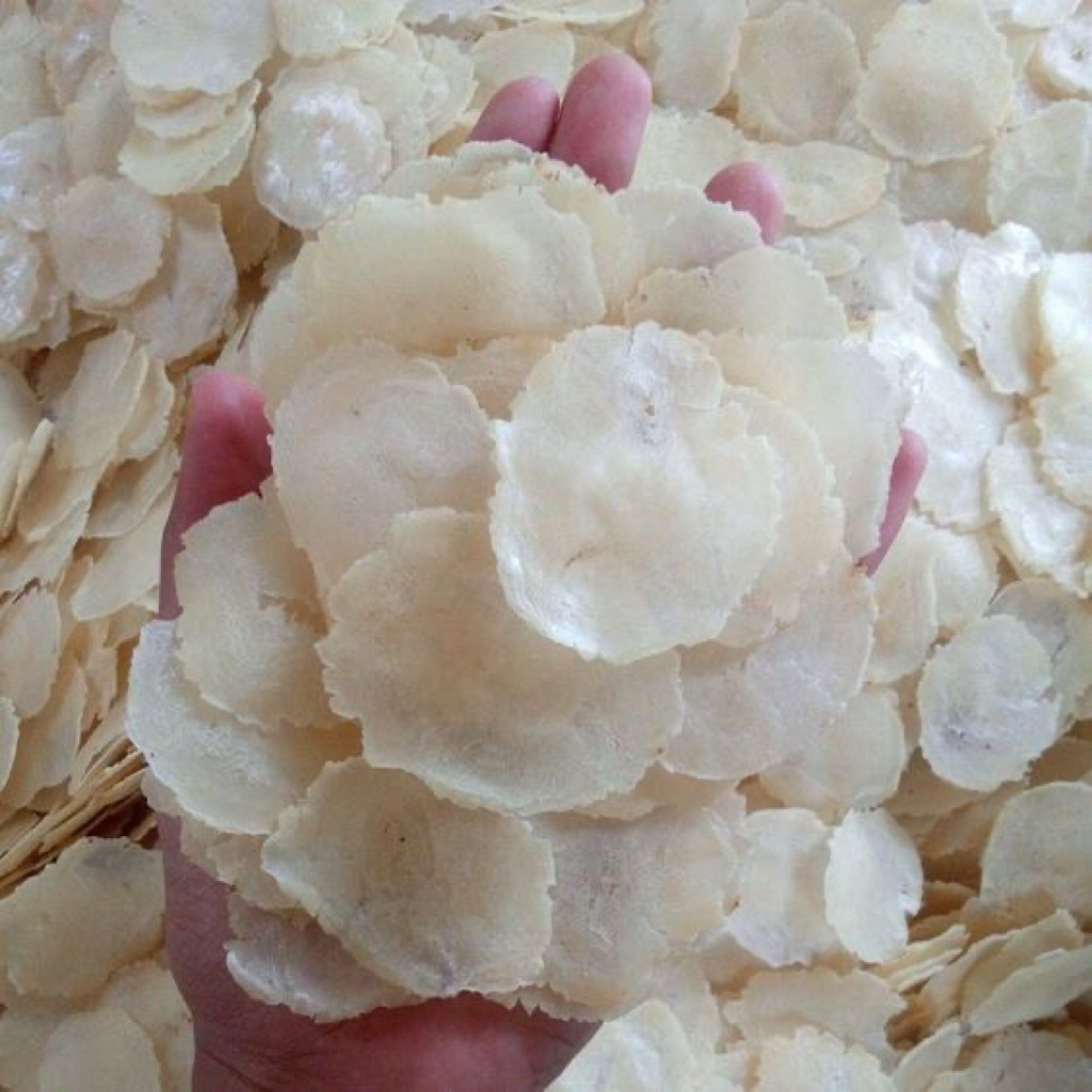 

CEMILAN Emping Melinjo Mentah