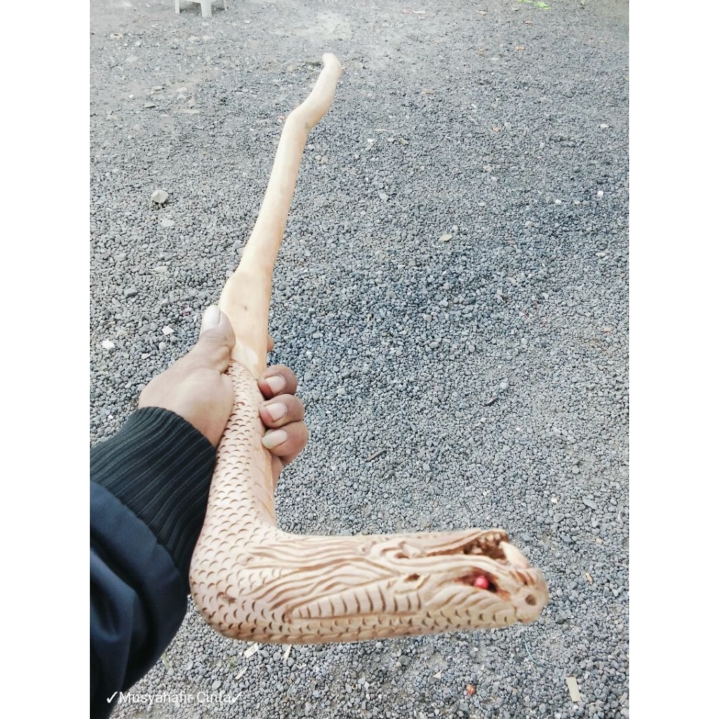 Tongkat Kayu Stigi laut