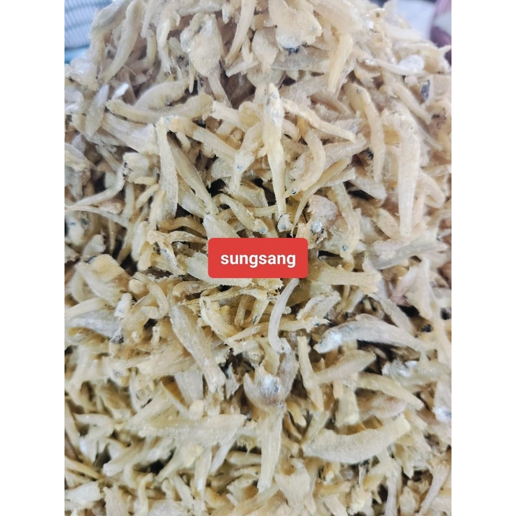 

Teri sungsang Mayang bersih berkualitas premium