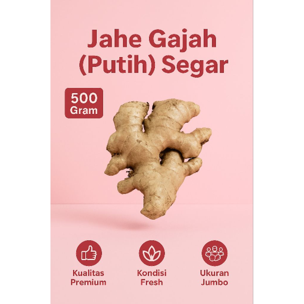 

Jahe Gajah Putih Segar 500gr, 1000gr - Jahe Jumbo • Wangi • Fresh Harian