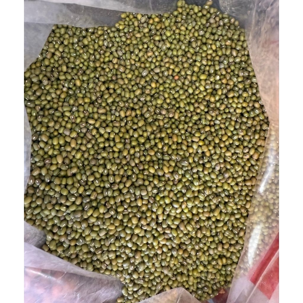 

kacang hijau birma