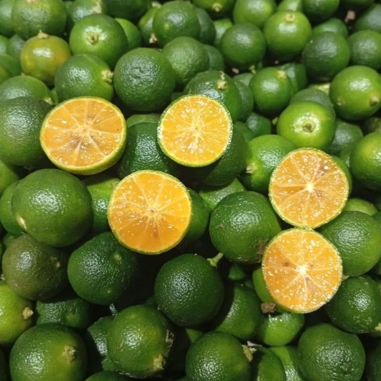 

1kg Jeruk sonkit kasturi jeruk kunci kip ciu Semua Ukuran