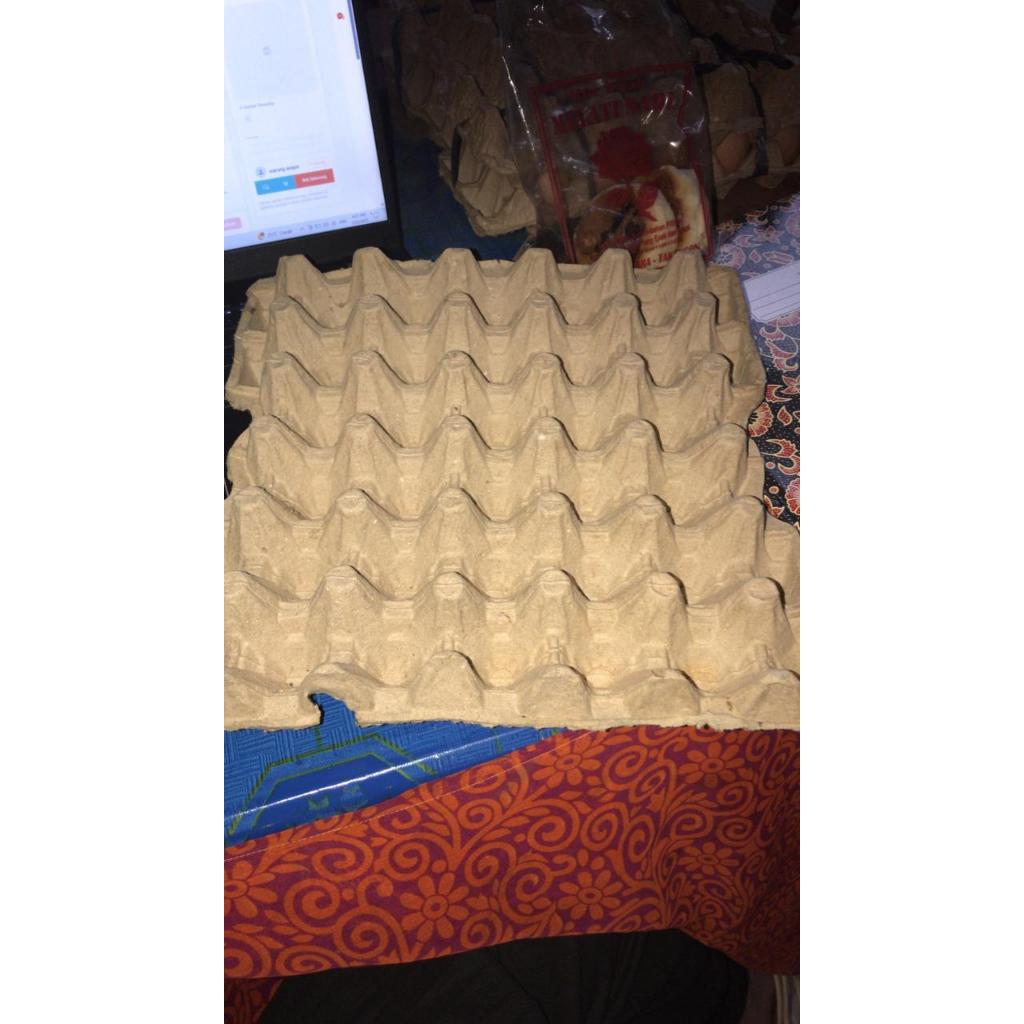 karton telur bekas