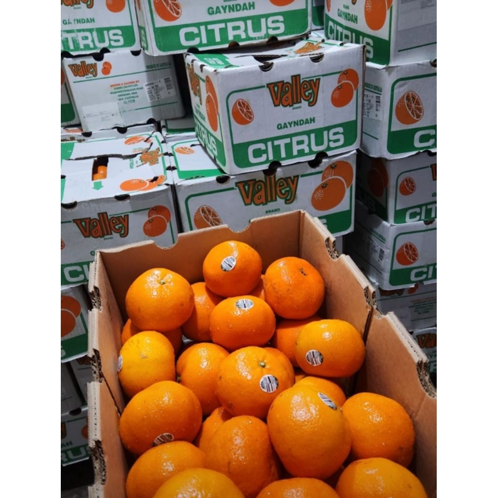 

Jeruk Honey Murcot Import 9 Kg Perbox