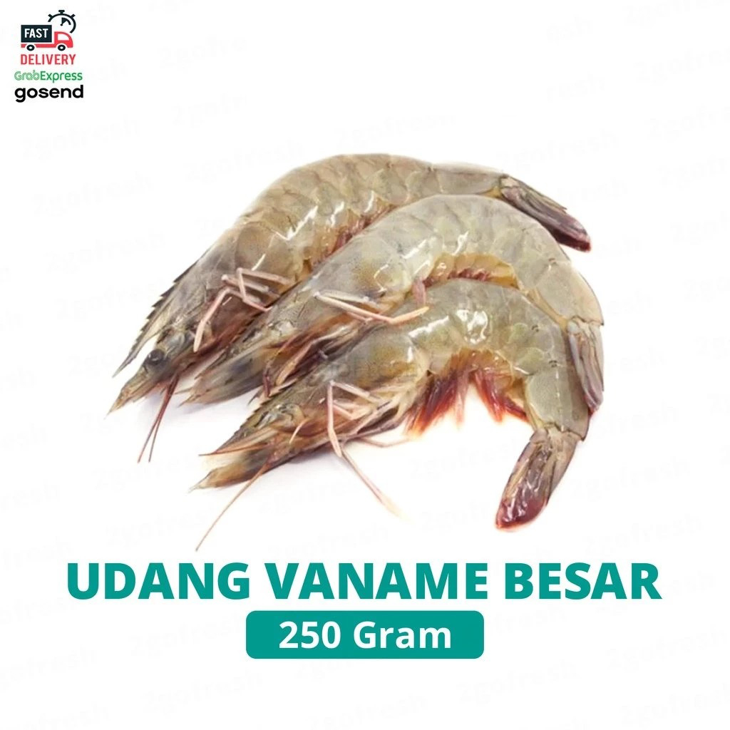 

Udang Vaname/ Vename Besar Fresh - Sayur Sayuran