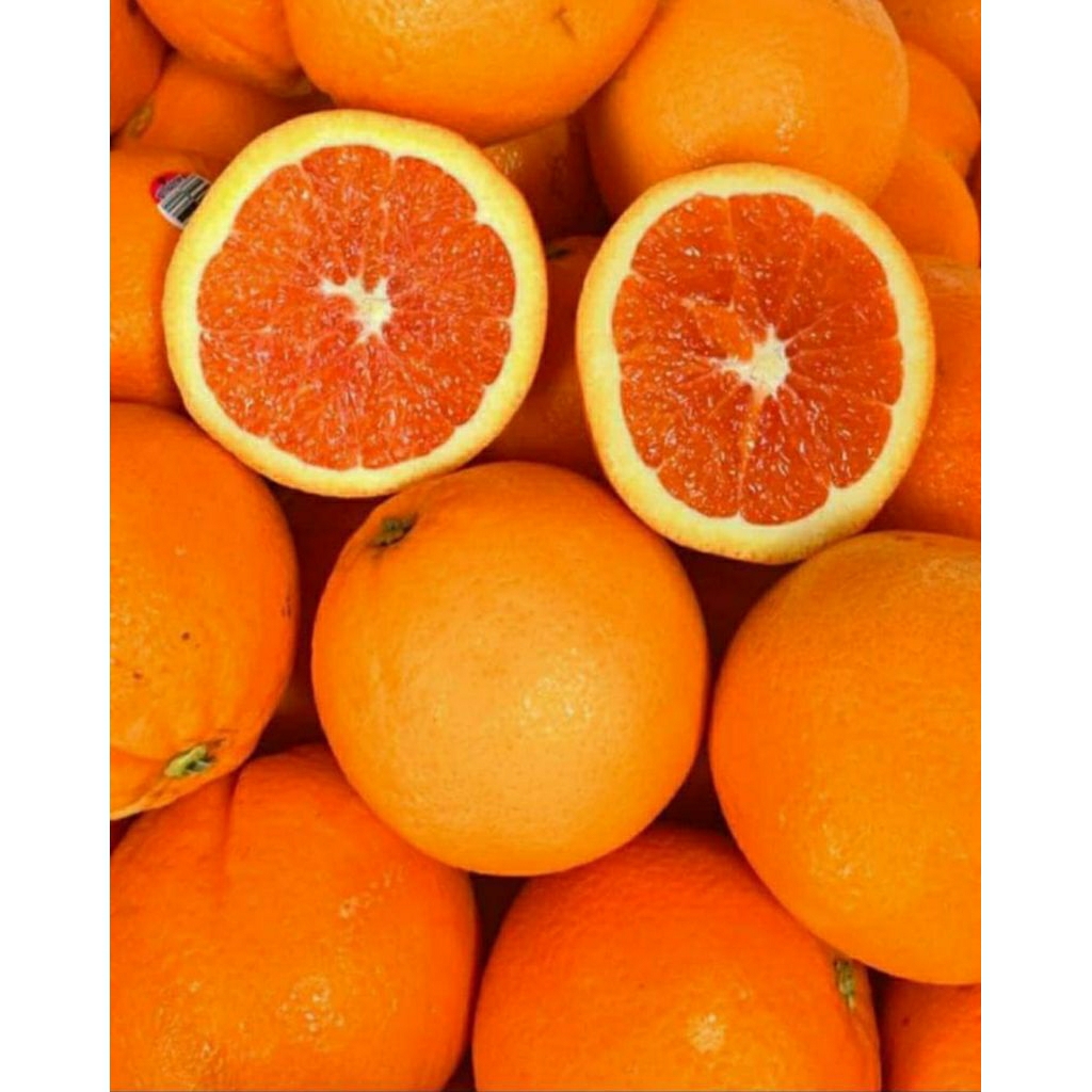 

jeruk sunchit 1 kg Fresh