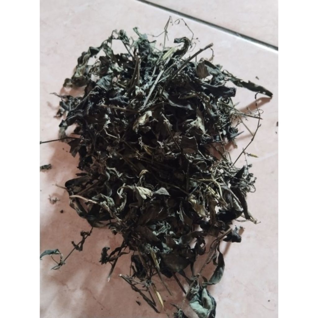 

Daun Sambiloto Kering 100gr