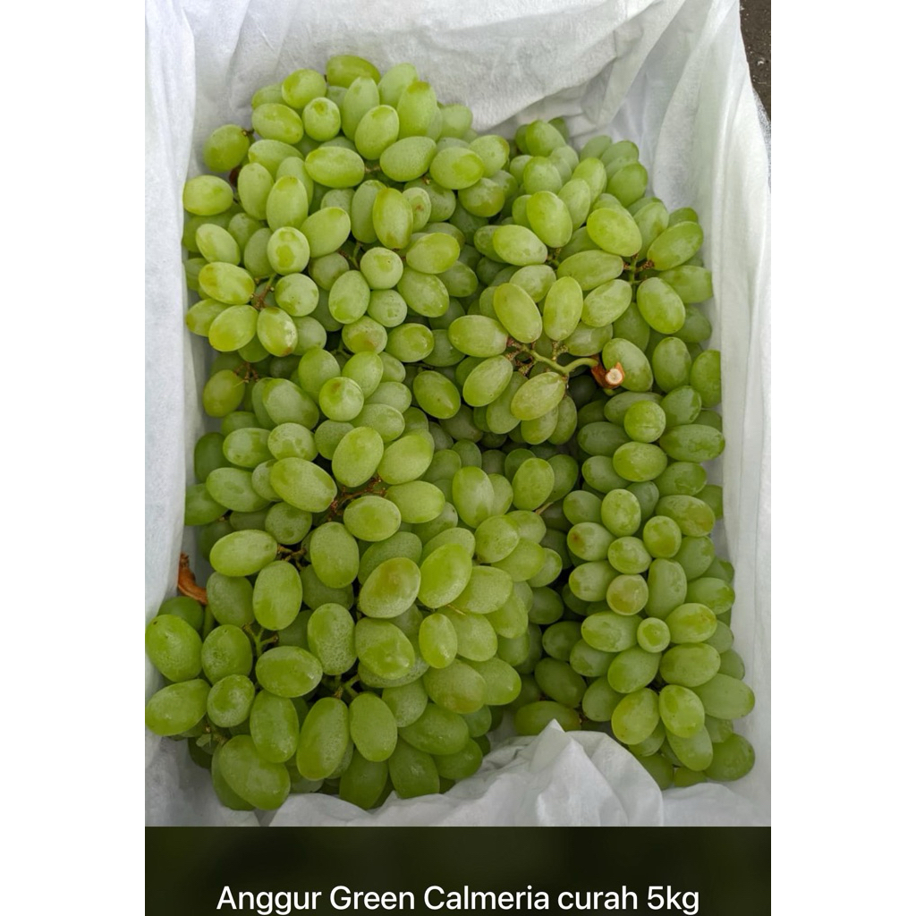 

ANGGUR HIJAU CALMERIA CURAH IMPORT 1 DUS 5KG