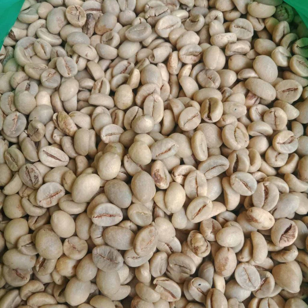 

kopi grean bean robusta siap sangrai 1kg